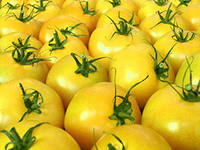 салат из жёлтых помидоров и арбуза
